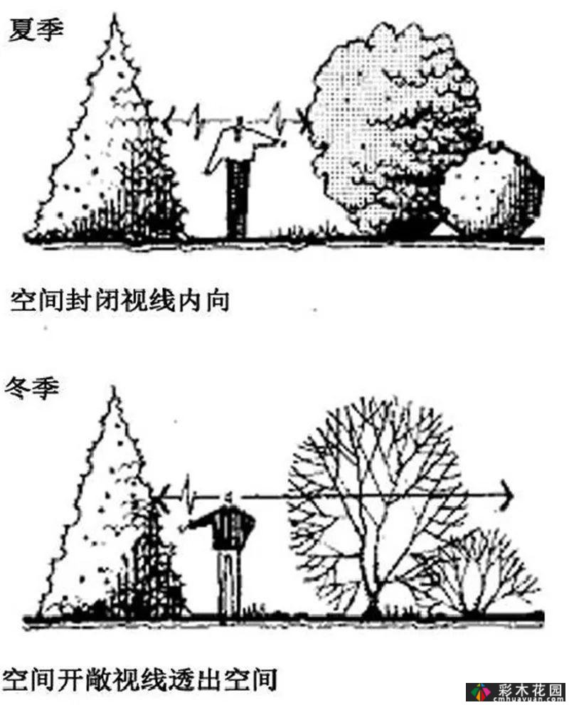 植物景观和实用景观设计掀起一股浪潮