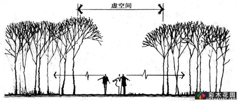 植物景观和实用景观设计掀起一股浪潮