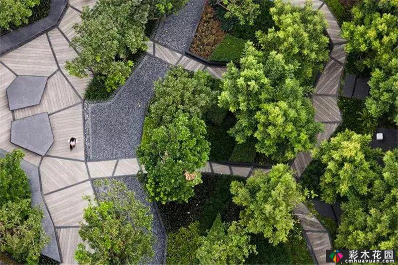 植物景观和实用景观设计掀起一股浪潮