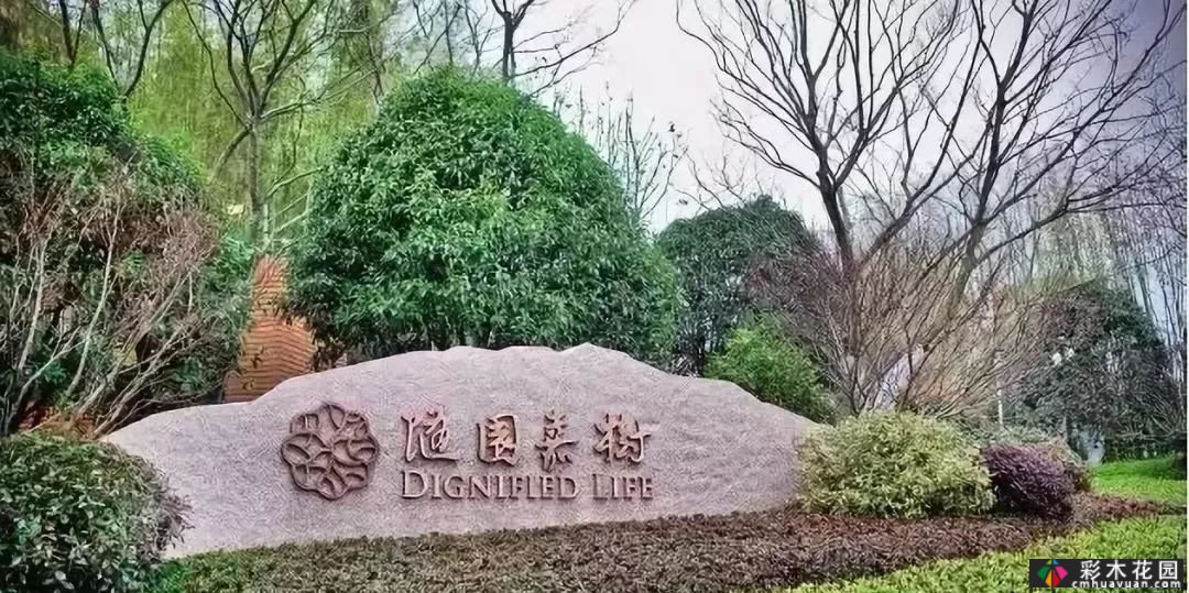用石头做一个场景，庭院气田来自你。