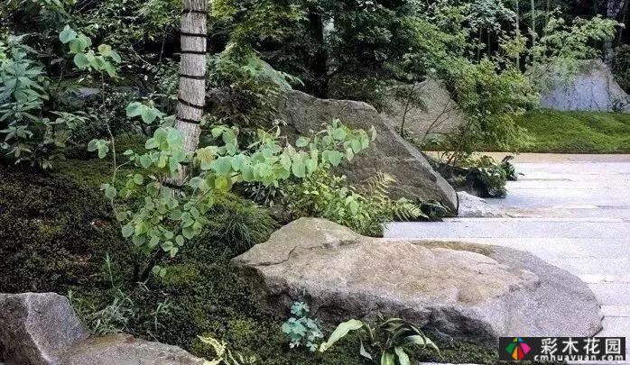 用石头做一个场景，庭院气田来自你。