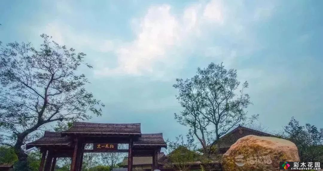 用石头做一个场景，庭院气田来自你。