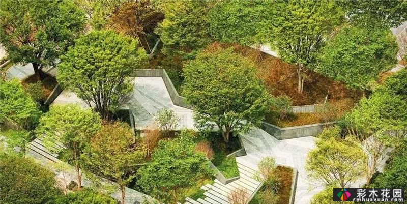 花式种植池超级软件设计 Sense