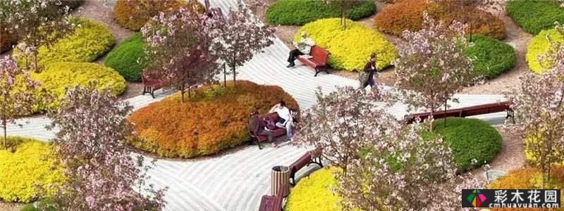 花式种植池超级软件设计 Sense
