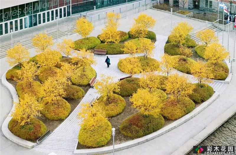 花式种植池超级软件设计 Sense