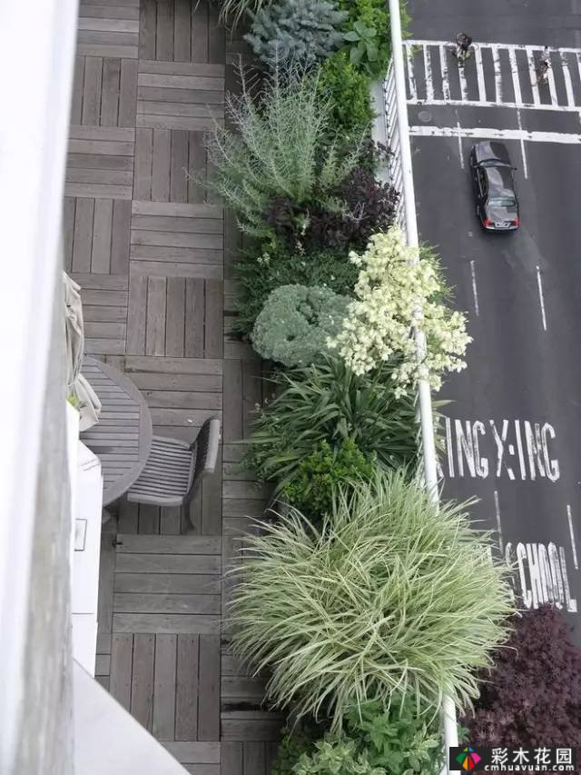 50款花园车顶