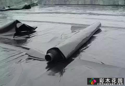 庭院屋顶绿化花园 设计“向上”