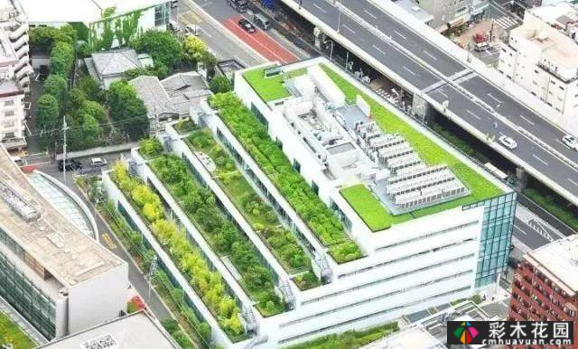 庭院屋顶绿化花园 设计“向上”