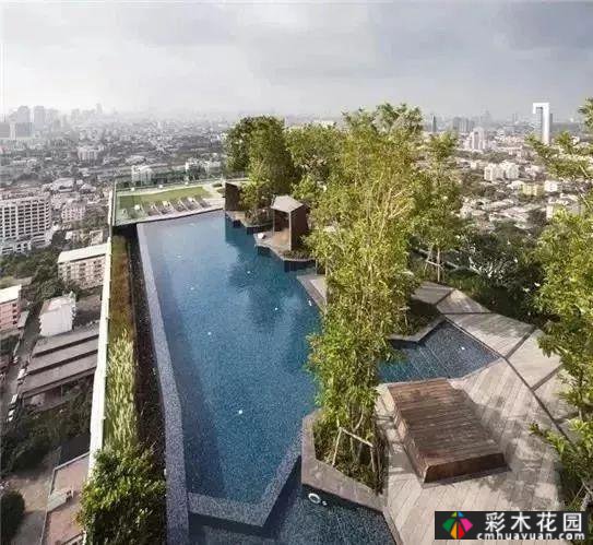 庭院屋顶绿化花园 设计“向上”