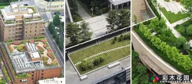 庭院屋顶绿化花园 设计“向上”
