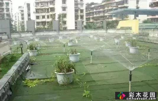 庭院屋顶绿化花园 设计“向上”