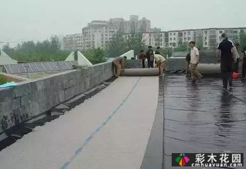 庭院屋顶绿化花园 设计“向上”