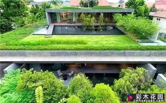 庭院屋顶绿化花园 设计“向上”