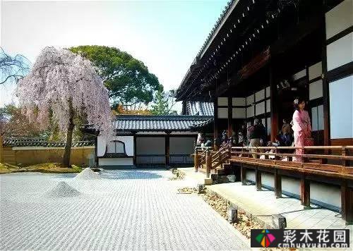 “干山干水”——日本园艺的极致