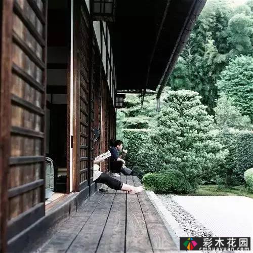 “干山干水”——日本园艺的极致