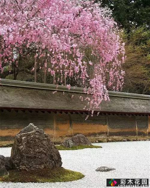 “干山干水”——日本园艺的极致