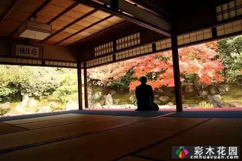 “干山干水”——日本园艺的极致