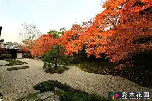 “干山干水”——日本园艺的极致