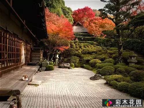 “干山干水”——日本园艺的极致