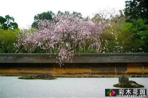 “干山干水”——日本园艺的极致