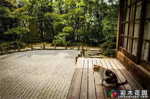 “干山干水”——日本园艺的极致