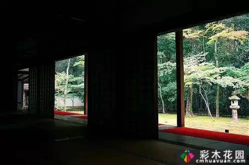 “干山干水”——日本园艺的极致