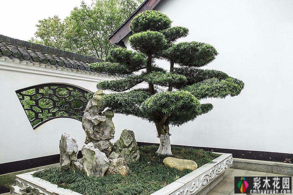 120m2实景设计 case！打造休闲、创意、实用花园，充满浪漫生活