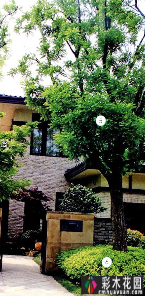 120m2实景设计 case！打造休闲、创意、实用花园，充满浪漫生活