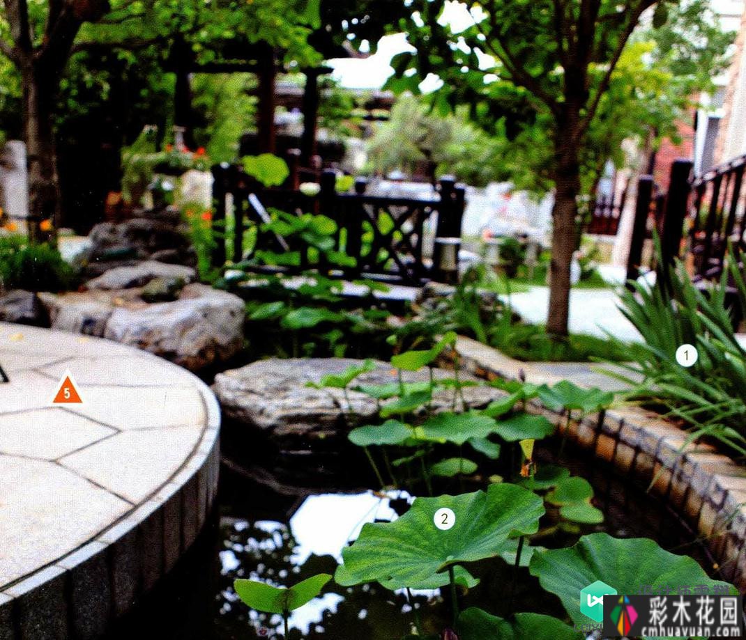 450㎡庭院classic设计style！水景、功能分区、植物搭配！优雅舒适