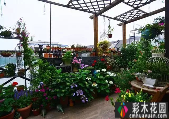 露台花园太美了，买房就得买顶楼
