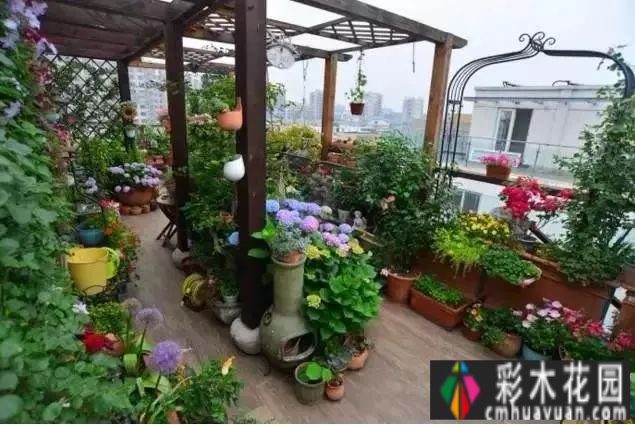 露台花园太美了，买房就得买顶楼