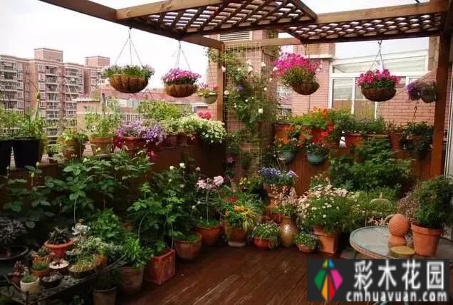 露台花园太美了，买房就得买顶楼