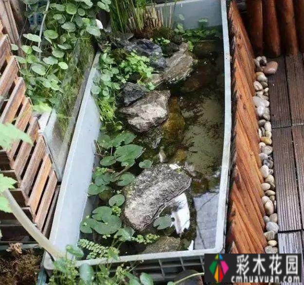 五个阳台种植方案可以轻松打造小花园