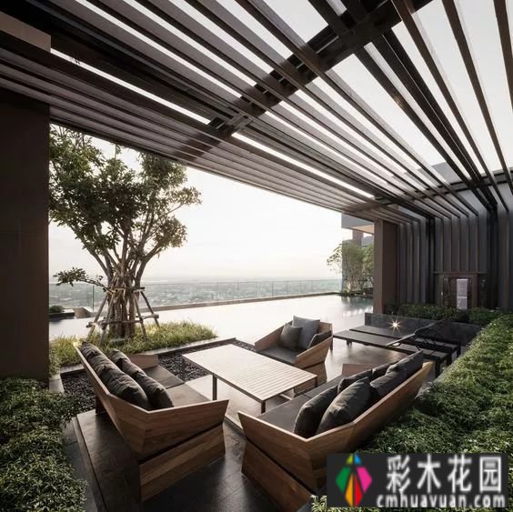 她在室内做了一个小花园并把大自然搬回家