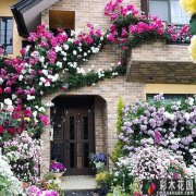 <b>20个精选花园 设计箱，你最喜欢哪一个，快来收藏。</b>