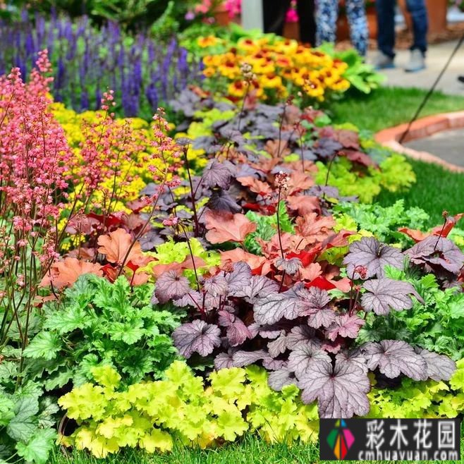 “植物配置”的六大秘诀，创造独特的美感花园