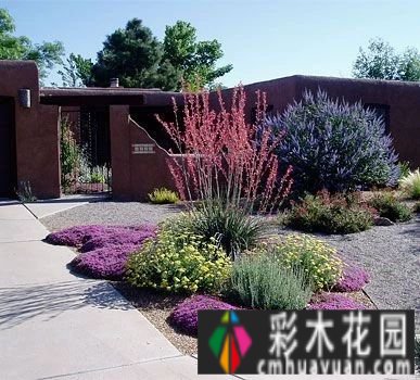 “植物配置”的六大秘诀，创造独特的美感花园