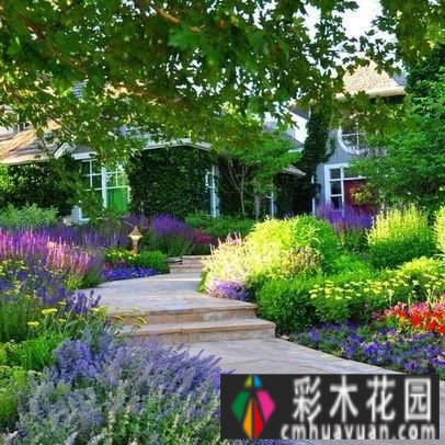 “植物配置”的六大秘诀，创造独特的美感花园