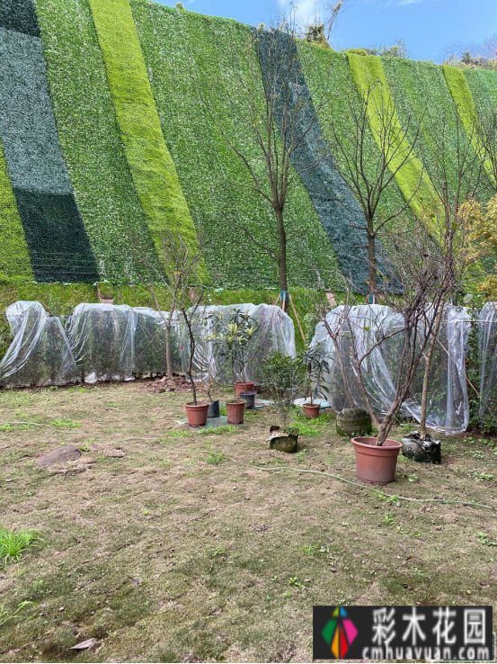 轻豪华花园小庭院怎么布置，创意小场景设计，朋友家人都赞了