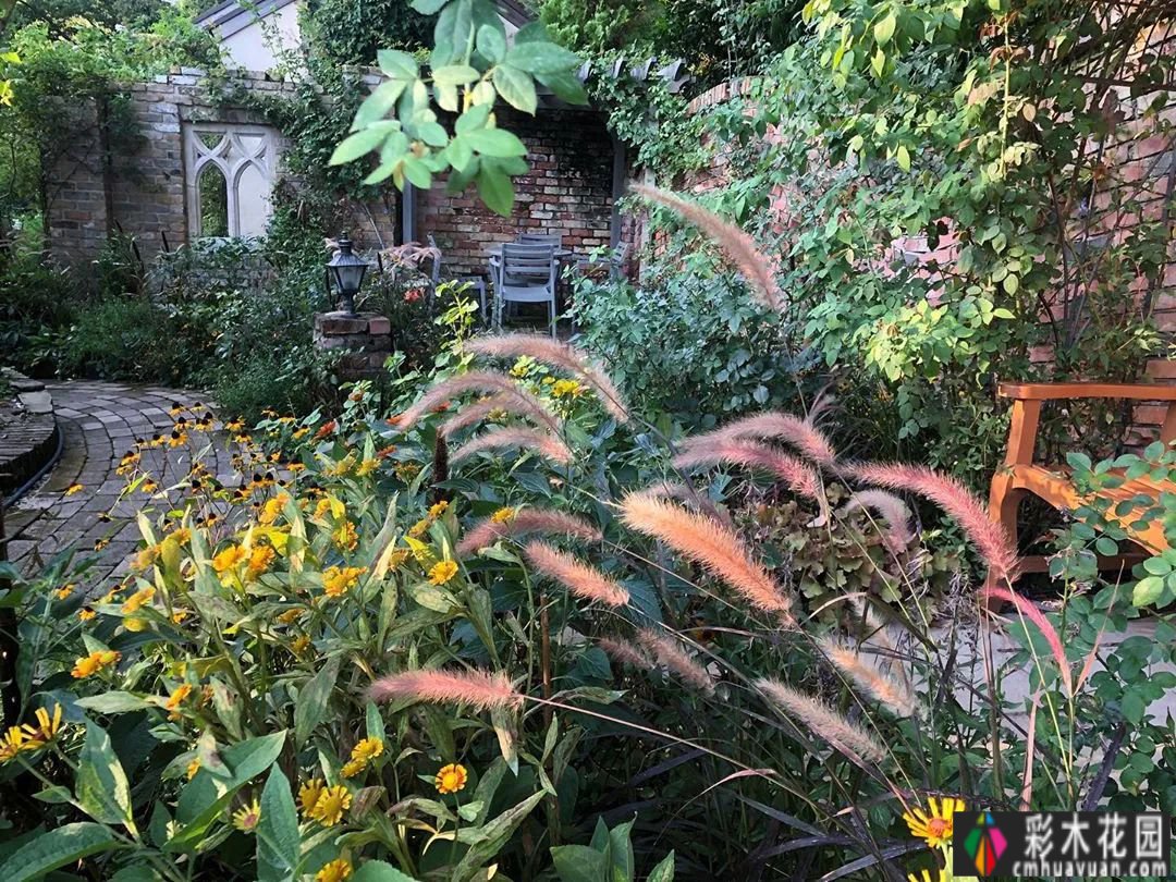 所谓秋花景，忍是辉煌一辈子，忍是怀念半生