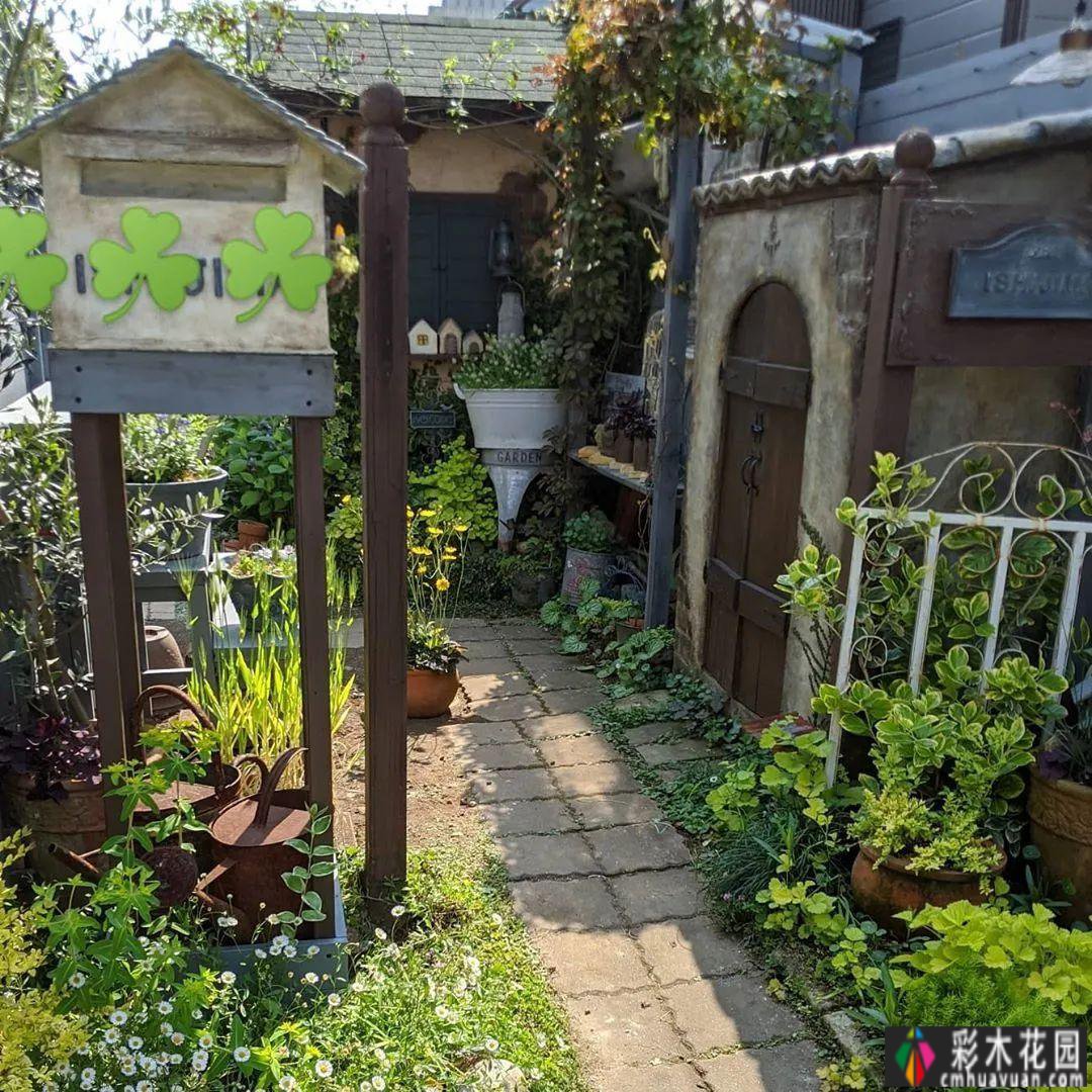 花园装饰草图，不败之美，让你的花园更迷人