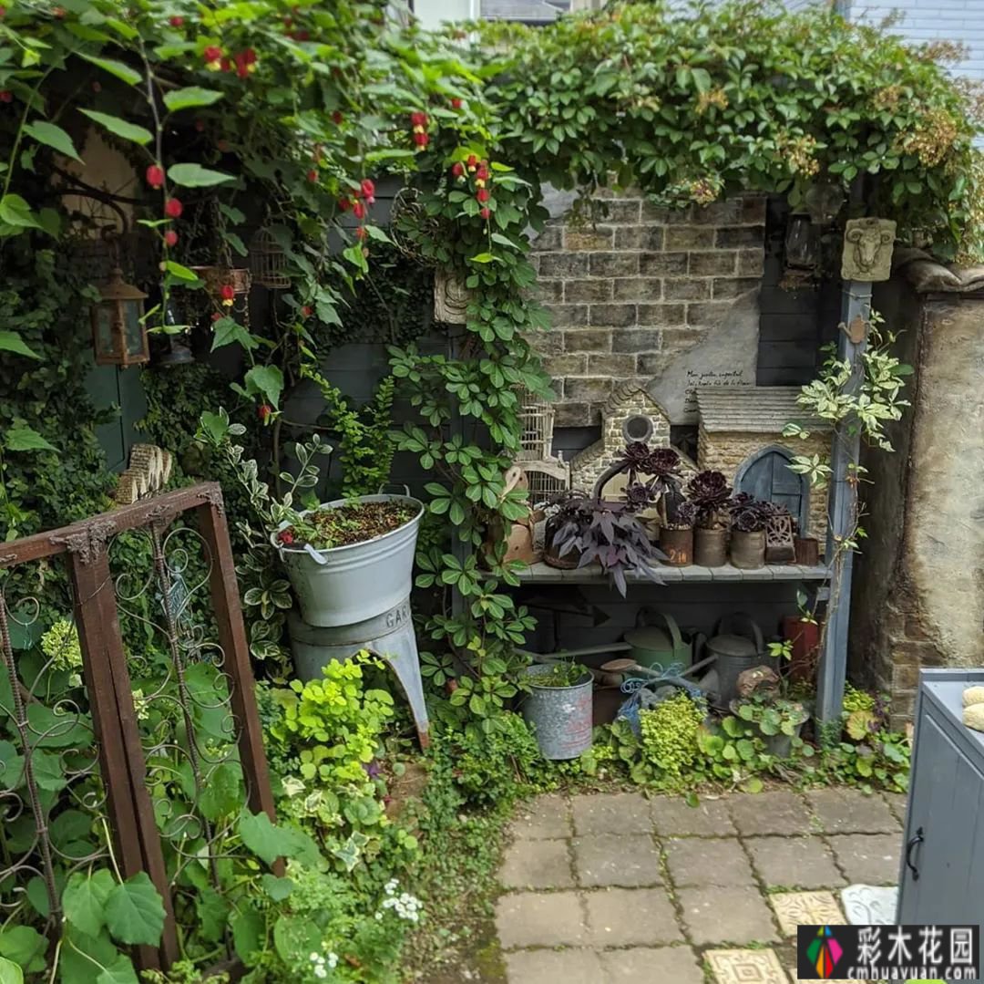 花园装饰草图，不败之美，让你的花园更迷人