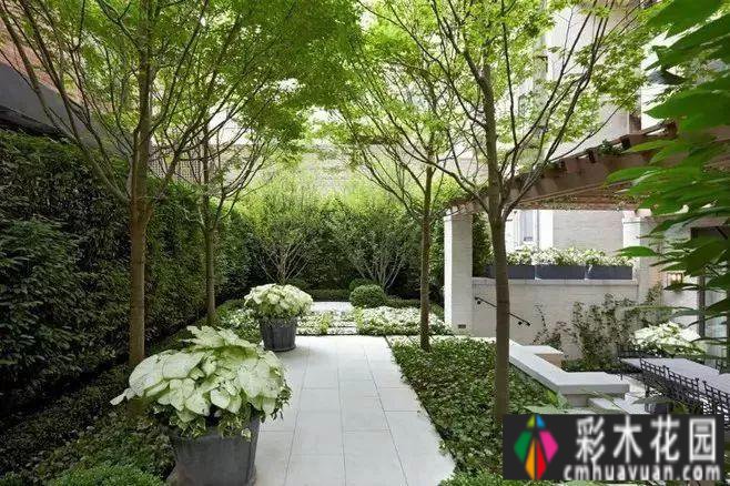 小花园变成大空间，需要注意这些方面