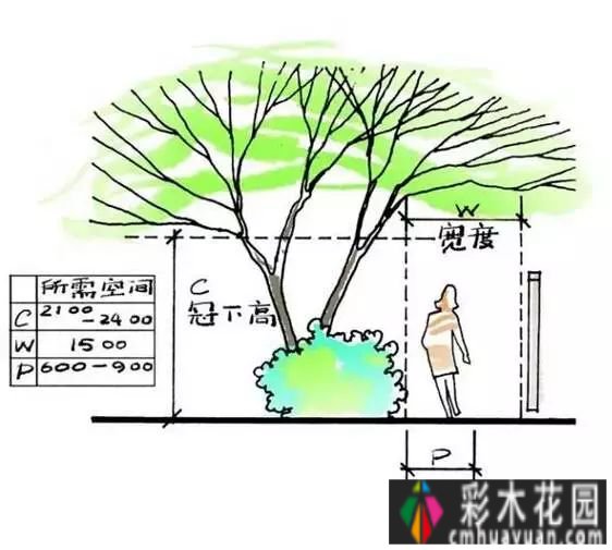 小花园变成大空间，需要注意这些方面