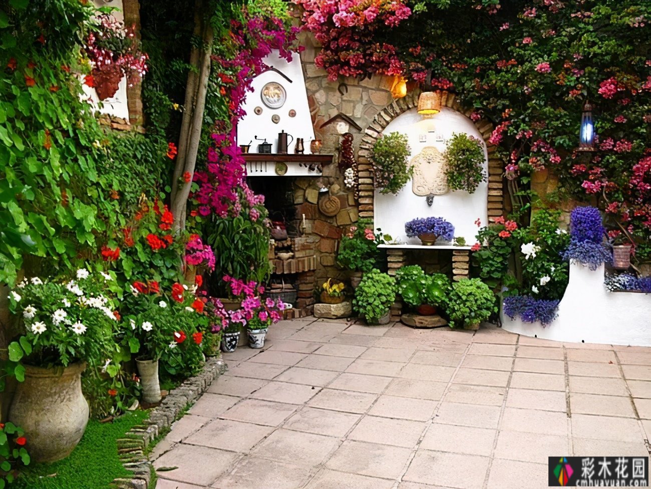 用藤本拓展花园空间，小庭院大转型