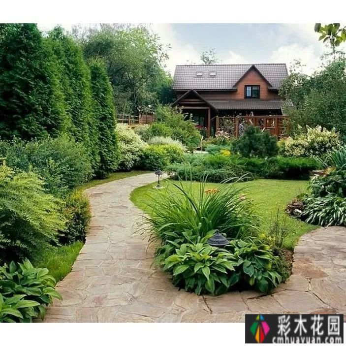 用藤本拓展花园空间，小庭院大转型