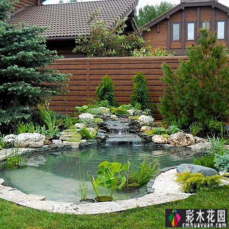 用藤本拓展花园空间，小庭院大转型