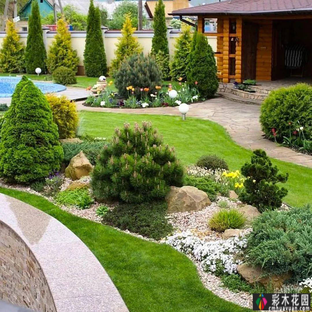 用藤本拓展花园空间，小庭院大转型