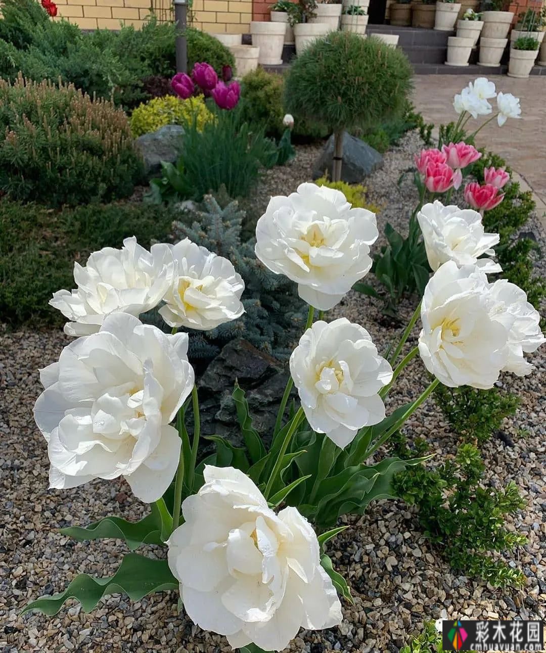 附案例|最美的相遇——用花草补树荒，用树木补花草悔