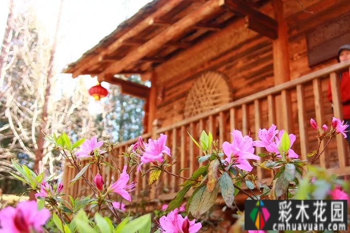 我愿意去医院，靠水生活
